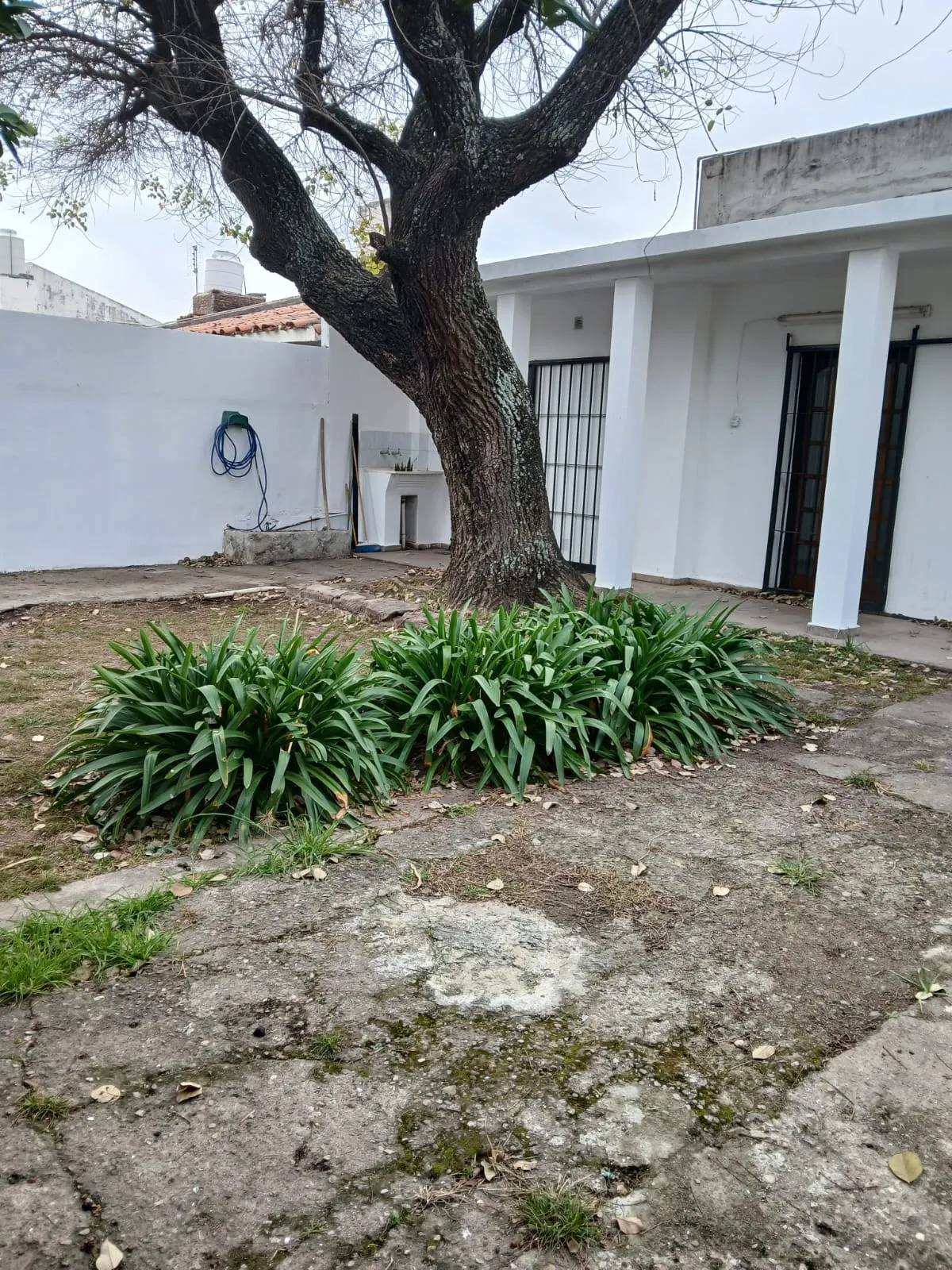 inmuebles-casa-venta-5394652-57c0afd7-714c-40b6-9a80-86fc849aff05 SAN RAFAEL – Toda PB – Impecable OPORTUNIDAD