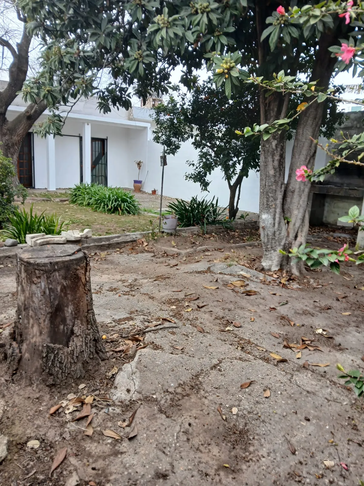 inmuebles-casa-venta-5394652-81e78bf1-69a4-4317-b1da-9c84997e86bd SAN RAFAEL – Toda PB – Impecable OPORTUNIDAD