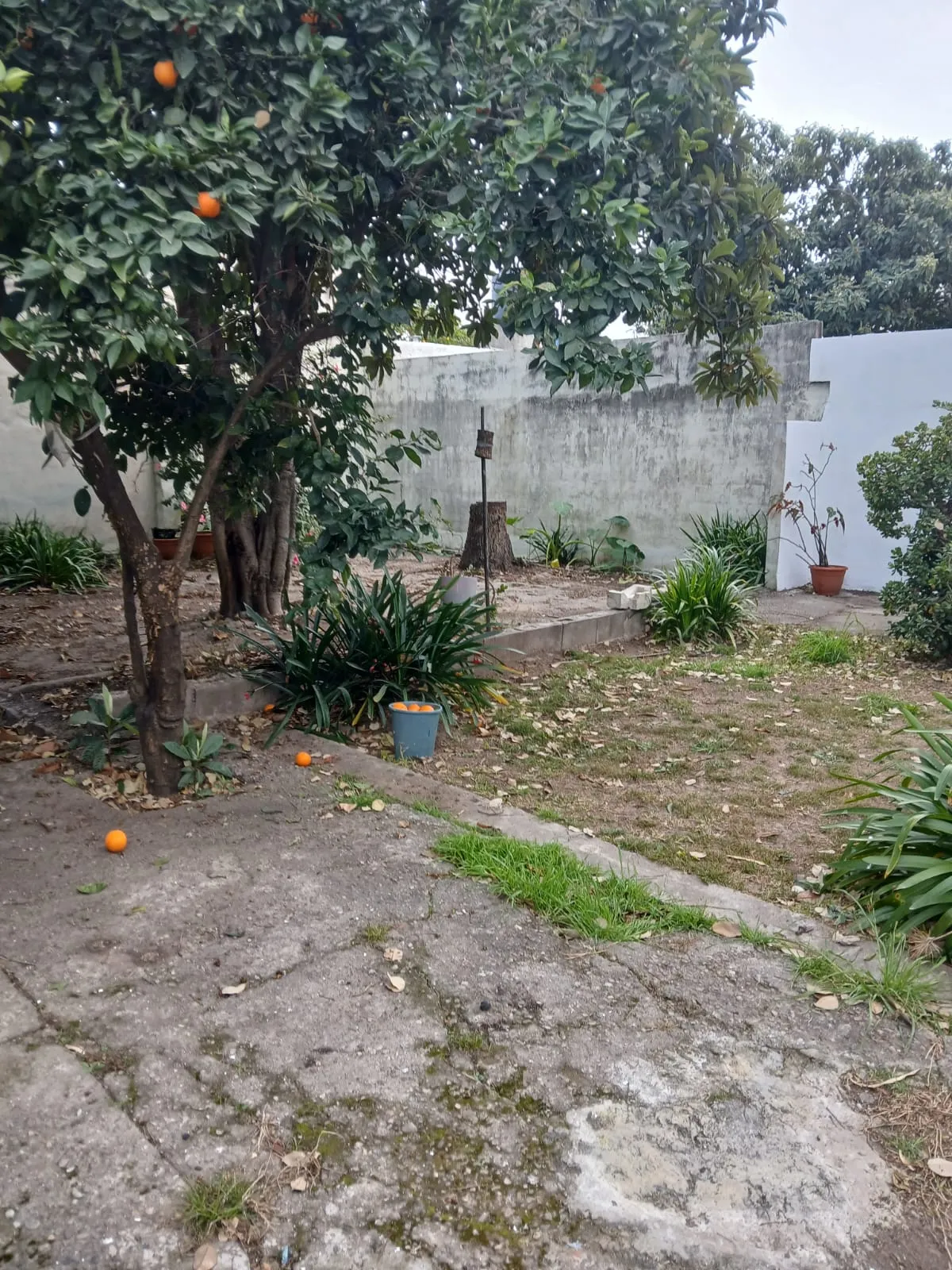 inmuebles-casa-venta-5394652-99d11855-4939-4db2-89b5-4f7a89bb7269 SAN RAFAEL – Toda PB – Impecable OPORTUNIDAD