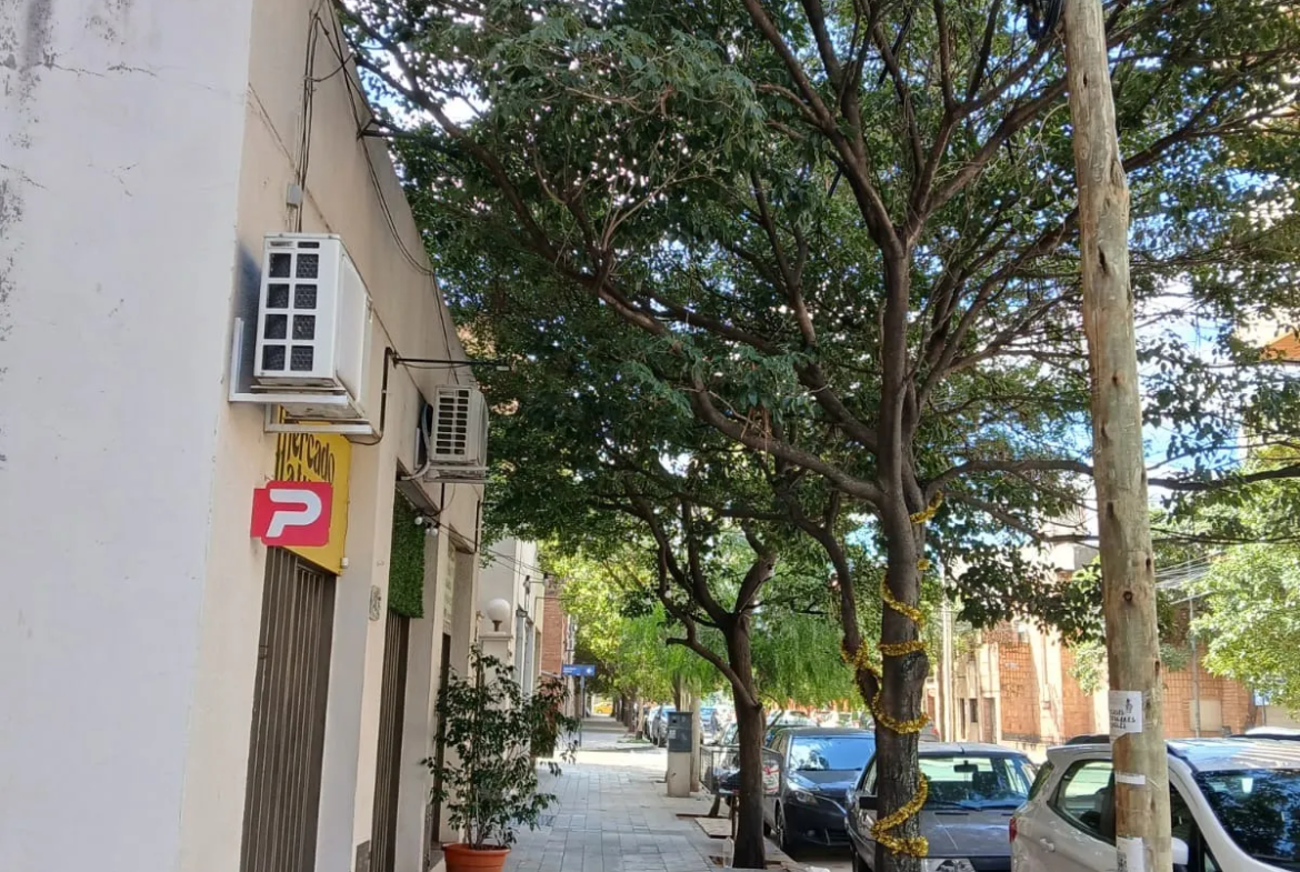COFICO – Sucre 1400 casi Bedoya – LOCAL 42 m2 + Patio -Con renta