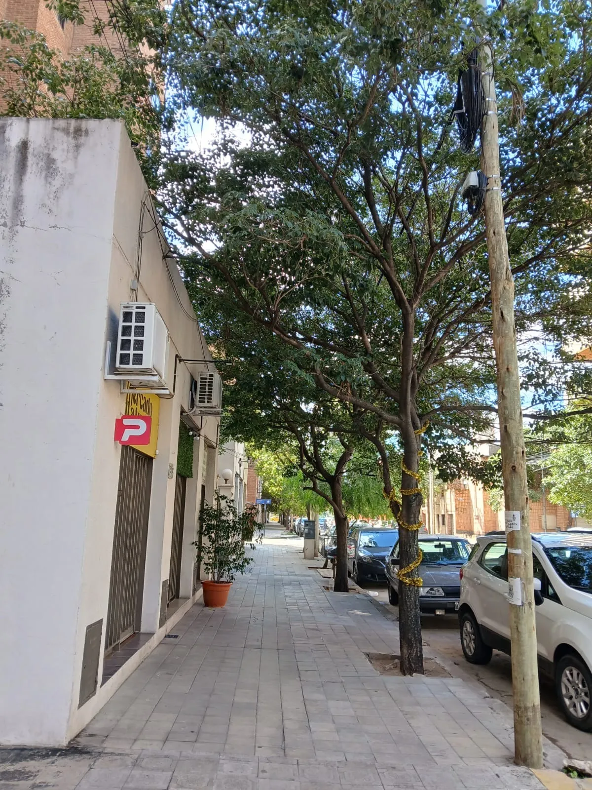 inmuebles-local-venta-5600664-387e54b7-bea3-46c3-8317-8594d212a349 COFICO – Sucre 1400 casi Bedoya – LOCAL 42 m2 + Patio -Con renta